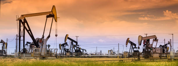 Exploration Support Services